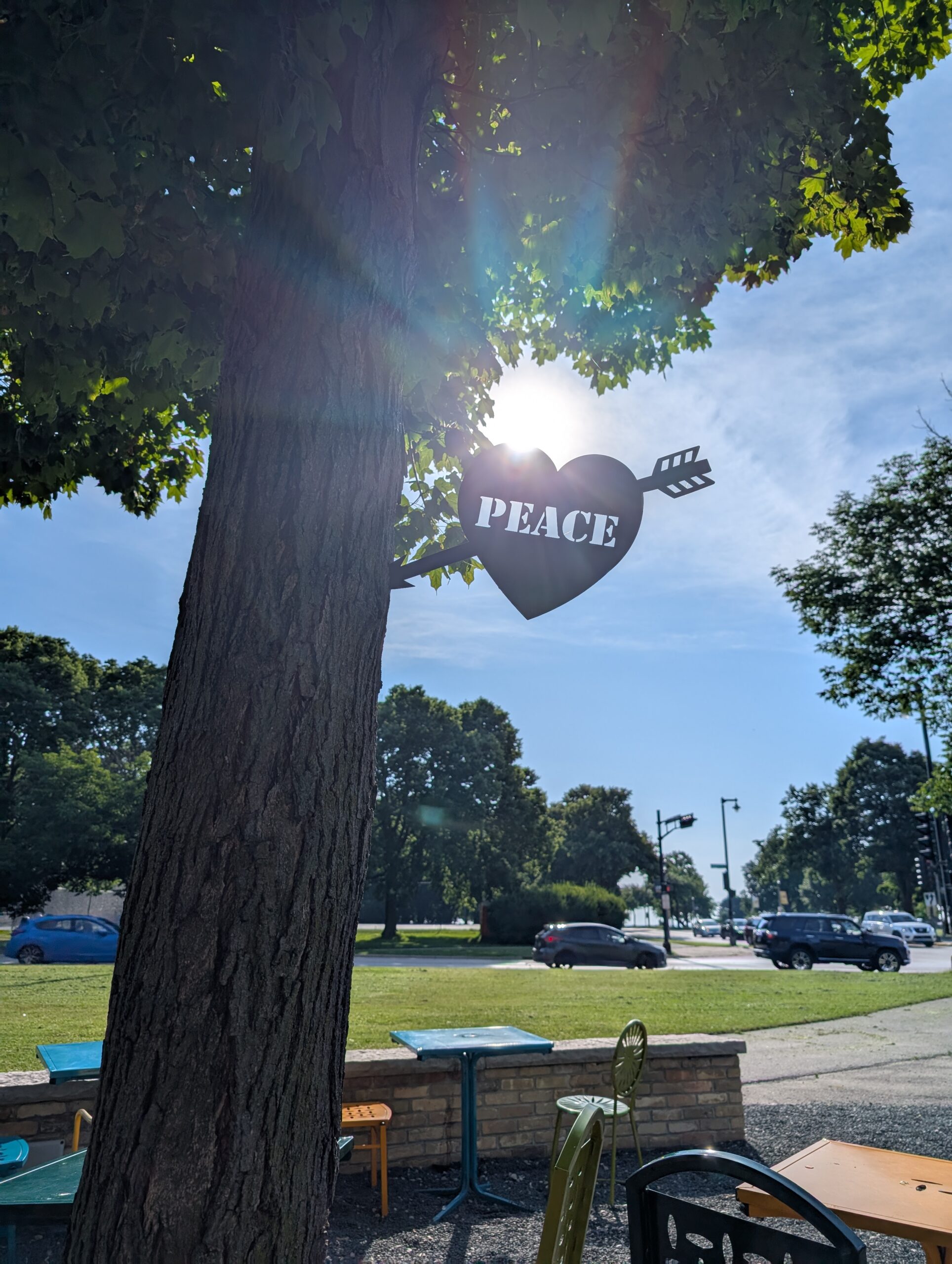 A sunlit tree has a heart-shaped sign with an arrow and the word PEACE attached to its trunk. Parked cars, green grass, and a few colorful outdoor chairs are visible in the background under a clear blue sky.